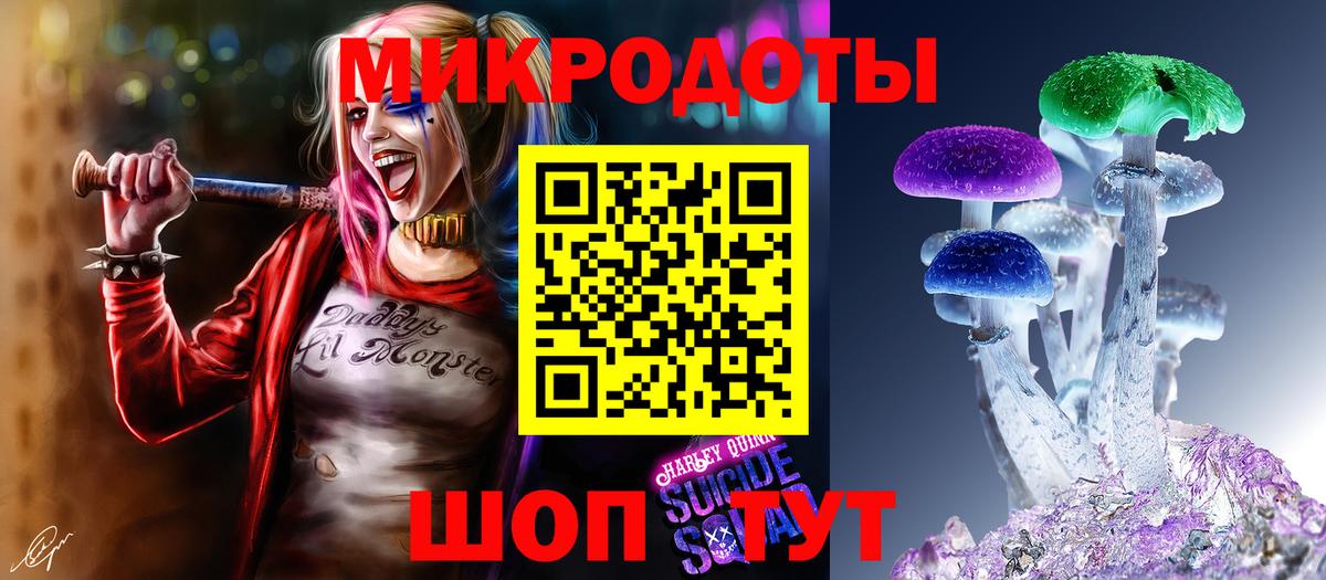 Галлюциногенные грибы Psilocybe Ейск