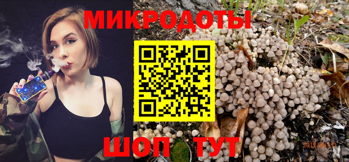 Ейск  Псилоцибиновые грибы GOLDEN TEACHER  Вход с VPN  Галлюциногенные грибы Psilocybine cubensis 